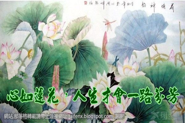 心如莲花 人生才会一路芬芳