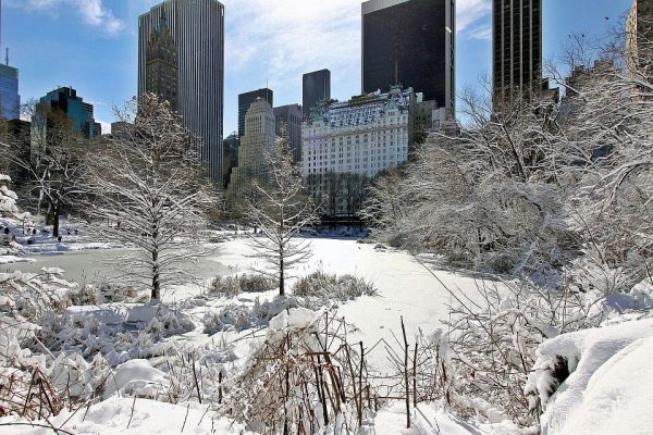 雪后的纽约中央公园（pixabay）