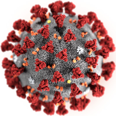2019新型冠状病毒（图片：CDC/ Alissa Eckert, MS; Dan Higgins, MAM）