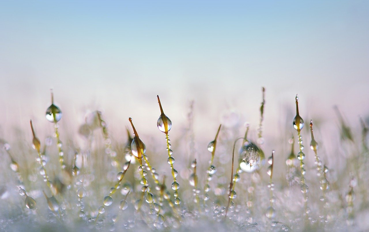 小雪（pixabay）