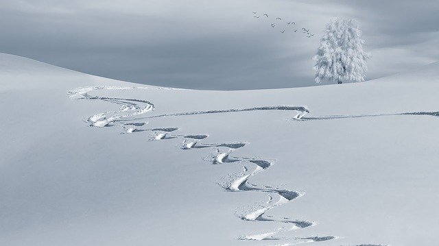 大雪节气（pixabay）