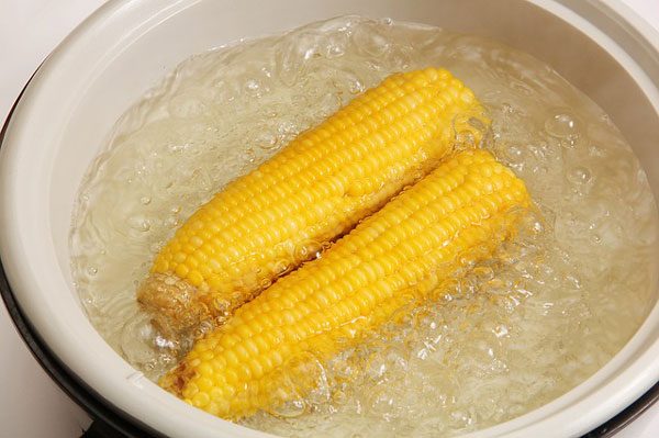  玉米 corn （资料图片：pixabay）