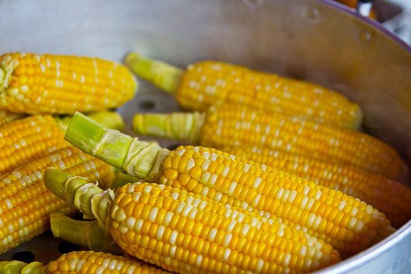  玉米 corn （资料图片：pixabay）
