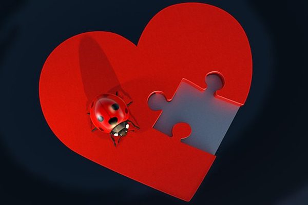 呵护心脏（图片来源：Pixabay）