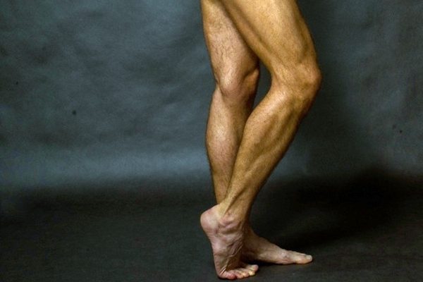 下肢肌肉（圖片來源：維基百科）