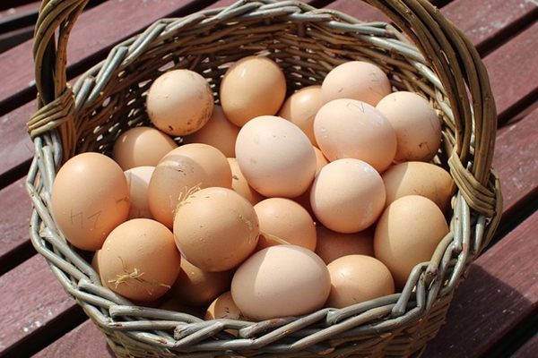 吃鸡蛋好强大！能防心血管疾病、糖尿病