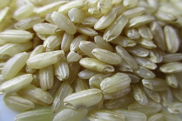 糙米（图片来源：Pixabay）