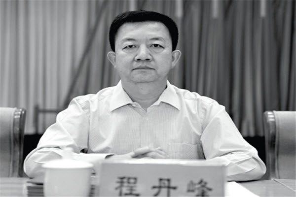 前中共政协副主席苏荣女婿程丹峰 网络图片
