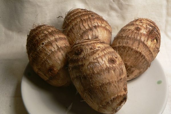 芋头（图片来源：维基百科）