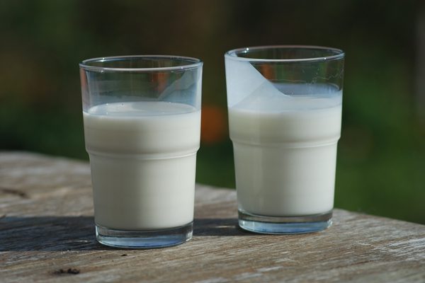 牛奶（图片来源：维基百科）
