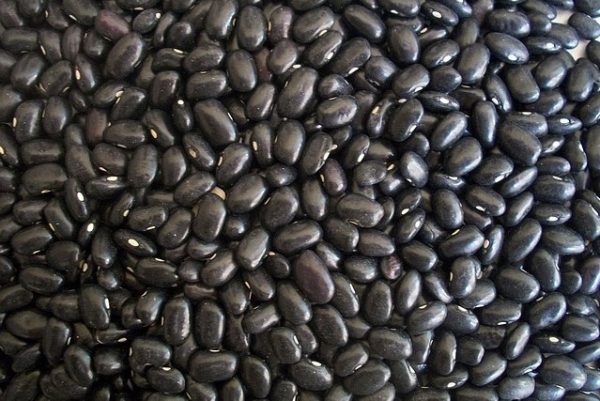 黑豆（圖片來源：Pixabay）
