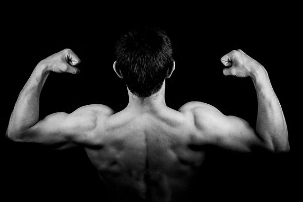 肌肉（图片来源：Pixabay）
