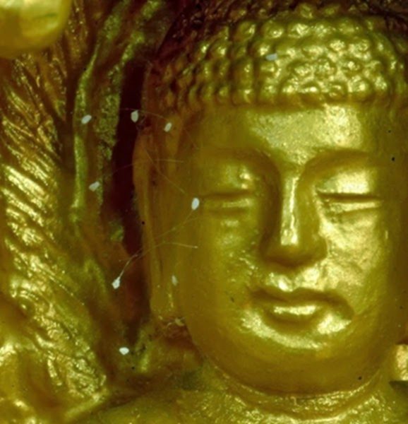  开在佛像脸上的优昙婆罗花 (图片来源：维基百科）