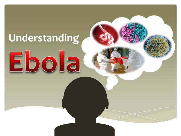 世界衛生組織（WHO）已做「最壞打算」，4點認識伊波拉病毒