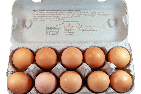 鸡蛋。（图片来自pixabay）