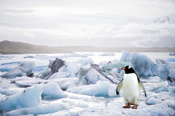 南極海冰消融意味著什麼？人類是時候應該警惕起來了！（示意圖）（圖片：Unsplash /希望之聲合成）
