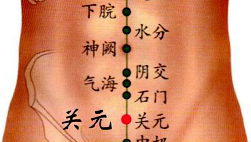 「看肚臍療法」、神闕穴（圖片：網絡）