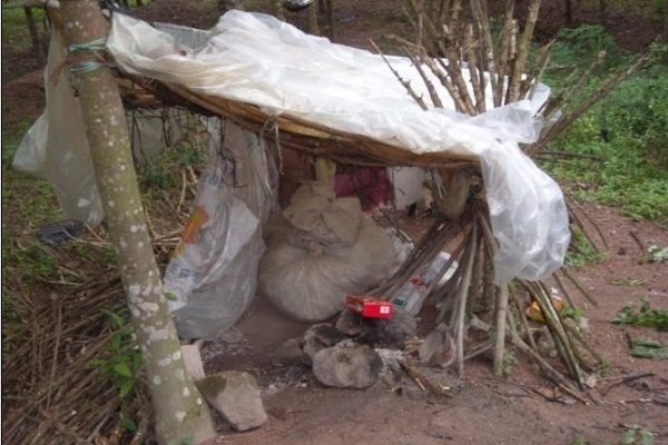 “窝棚知青人”孤身野居南渡江山47年