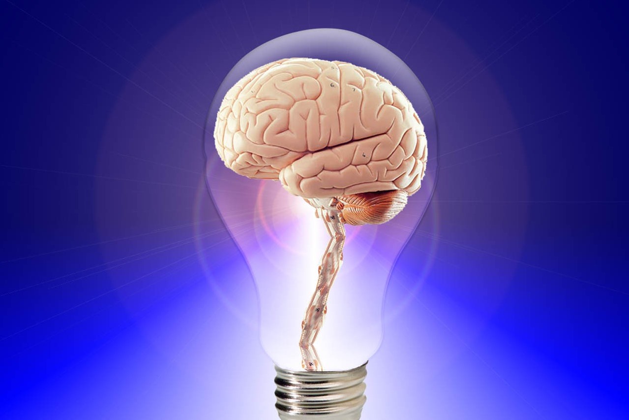 大腦（pixabay）