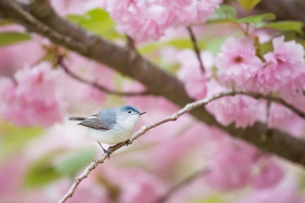 人生路漫長 多珍重 送您30篇經典勸世良言 人生路走得更好 勸世良言 經典勸世良言 寬容歌勸世良言 人生路漫長