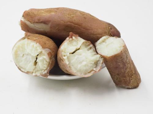  白薯（网络图片）