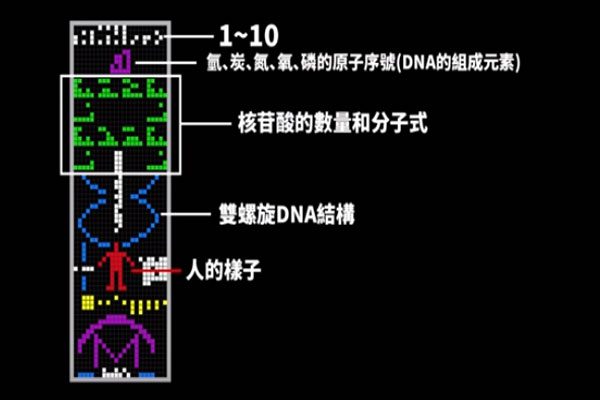 迄今为止本世纪最重要的麦田怪圈 外星文明的回信 外星人 麦田圈 迄今为止本世纪最重要的麦田怪圈 外星文明的回信 麦田圈之母