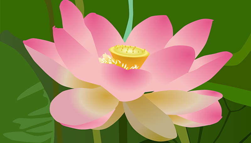 花（圖片：pixabay)