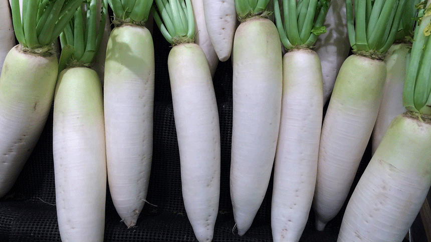 白蘿蔔（圖片：pixabay）