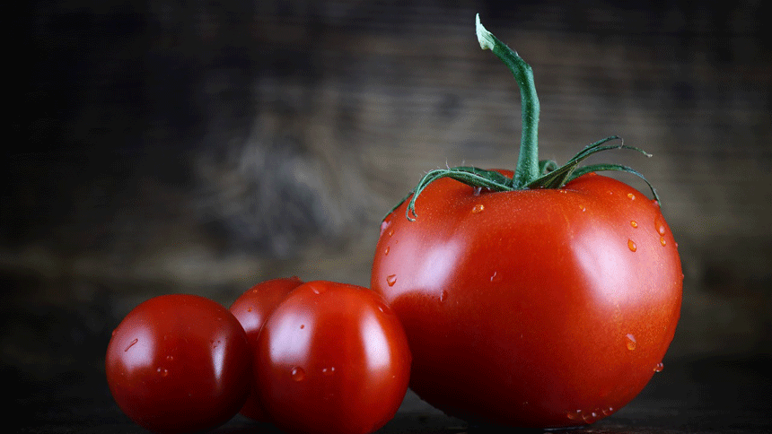 番茄（图片：pixabay）