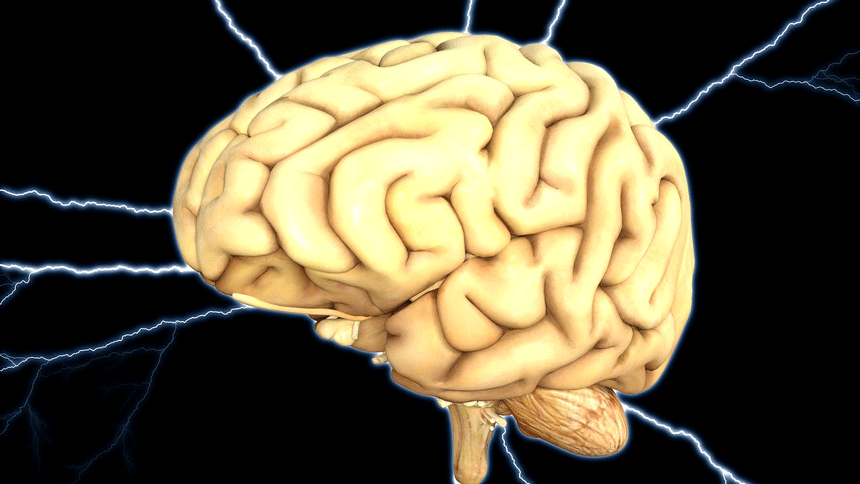 大腦（圖片：pixabay）