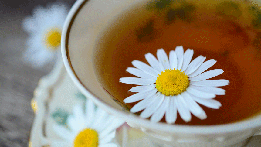 德国洋甘菊茶（图片：pixabay）