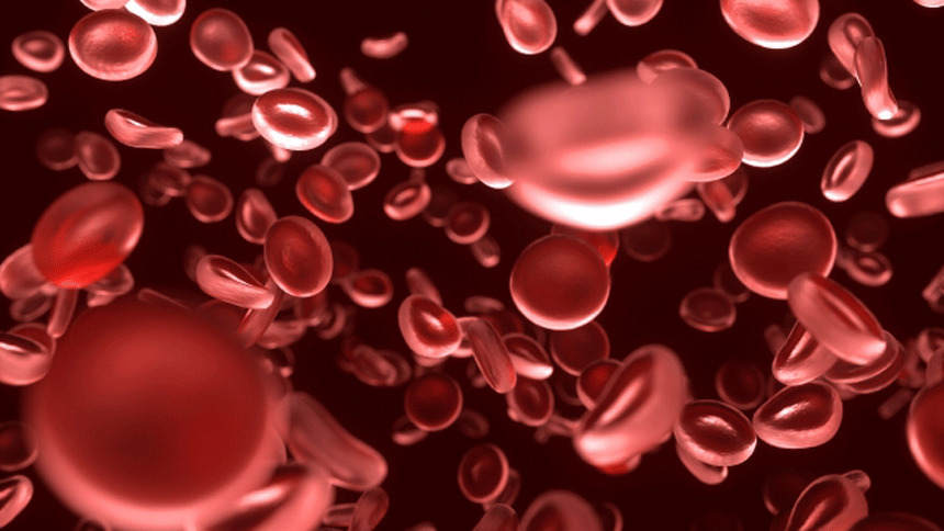 Red blood cells (Image: PhotoAC)