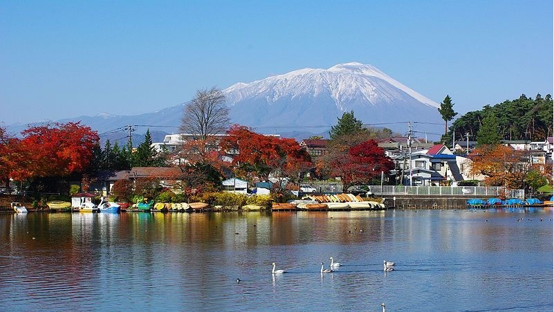 岩手县的奇迹日本唯一武汉肺炎 零确诊 岩手县 奇迹 零确诊 武汉肺炎 荞麦面 游客 希望之声