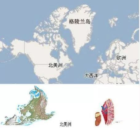 肾脏和格陵兰岛（网络图片）