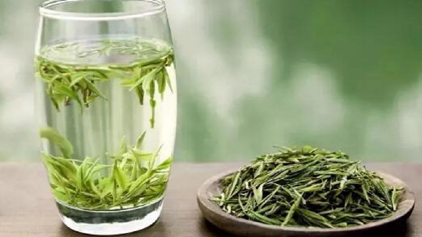 明前茶貴如金化解春火和濕邪享用它也有講究| 春火| 濕邪| 明前茶| 講究| 希望之聲
