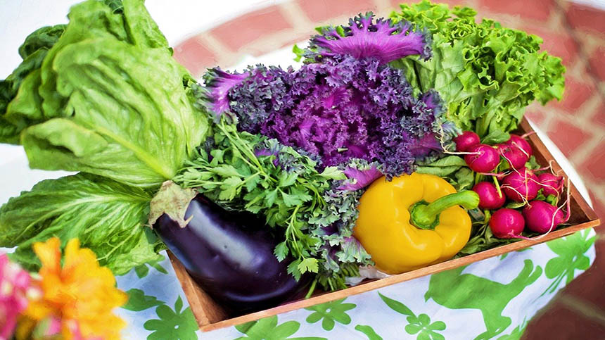 有機蔬菜（pixabay）