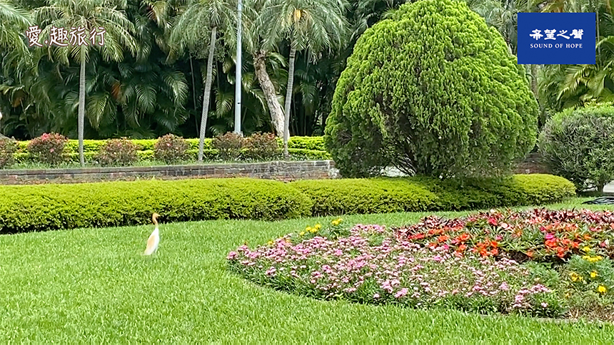 爱 趣旅行 士林官邸赏花乐flower Viewing At Shilin Mansion 音频 视频 爱趣旅行 士林官邸 捷运观光 希望之声 生态公园 庭园造景