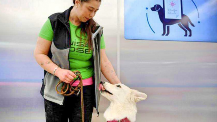 芬蘭機場派「嗅探犬」檢疫