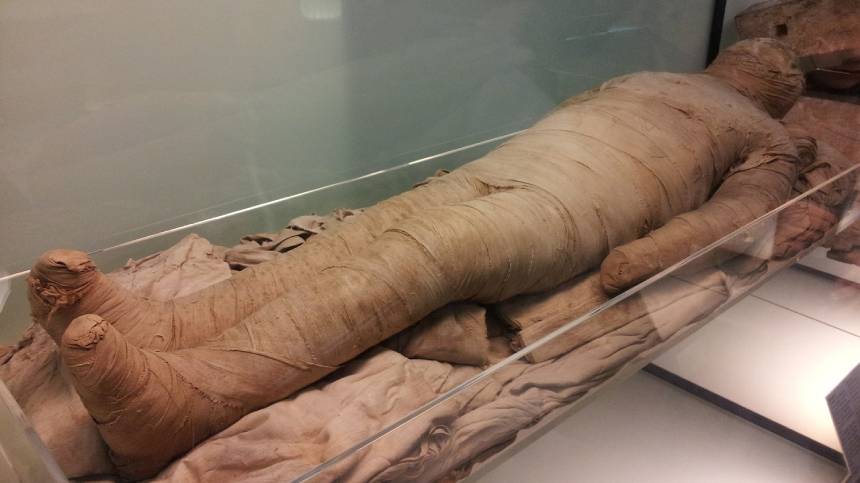 4000多年前的木乃伊体内多是人造器官