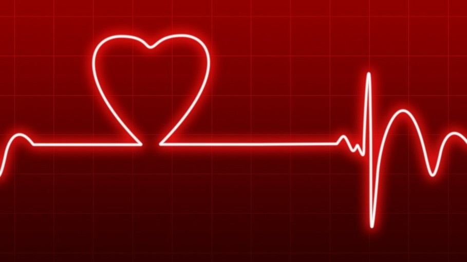 electrocardiogram (pixabay)