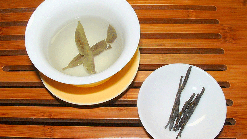 苦丁茶（Shizuha (talk)/Wikimedia Commons）