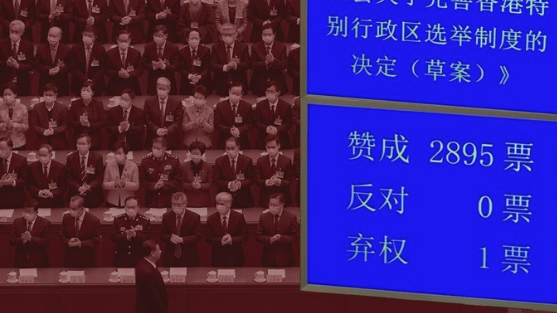 全国人民代表大会投票通过修改香港的选举制度。  0票否定票和1票弃权票是谁？  | 改善香港选举制度的决定草案| 修改香港选举制度| 全国人民代表大会| 经过投票| 弃权| 爱国者统治香港| 曾建元