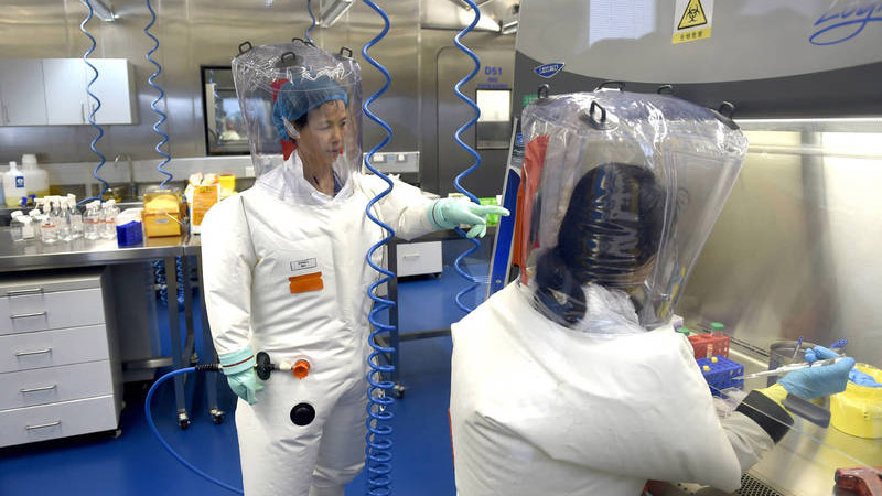 图为中国病毒研究员石正丽（左）在武汉病毒研究实验室。（图片来源：AP）