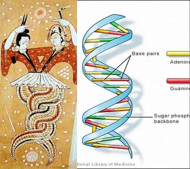 惊天掲秘 伏羲女娲图中的天大玄机