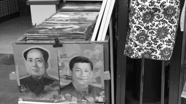 中国共产党出版了中国共产党的新历史，其中四分之一被毛白粉涂掉了。 中国共产党的历史| 中国共产党的新历史习近平| 毛泽东| 文化大革命|