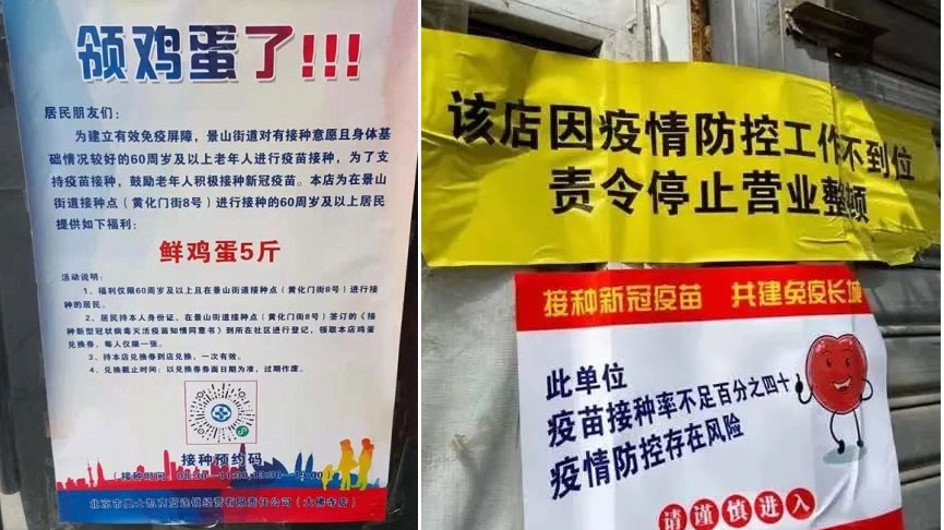 根据互联网，在辽宁65名公务员中只有3人接种了家用疫苗| 国内疫苗| 泰安县| 新泰镇| 假疫苗| 有毒疫苗| 疫苗接种率