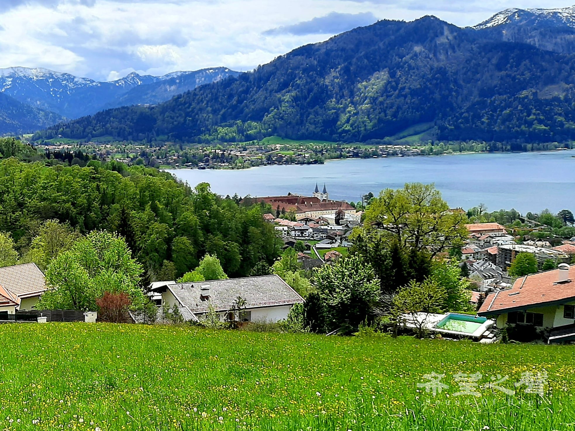阿爾卑斯山前麓的泰根湖