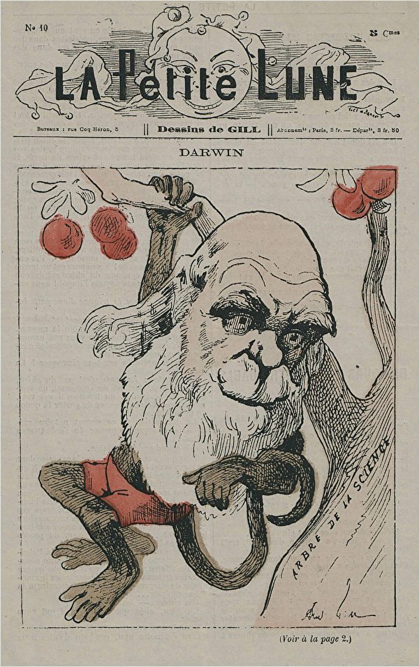 一幅揶揄演化论的讽刺画，描绘拥有“猴子身体的达尔文”，作者André Gill（1840–1885）。（公有领域）