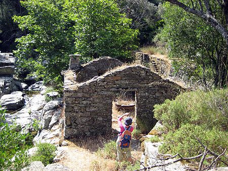 伊卡里亞（Ikaria/Icaria）的遠足和徒步旅行（圖片來源：ikariatours）