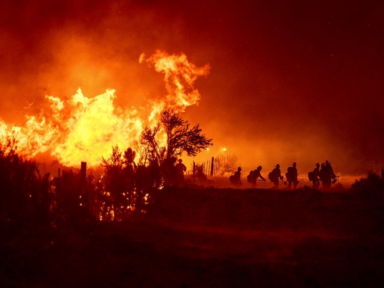 加州消防員撲救山火。